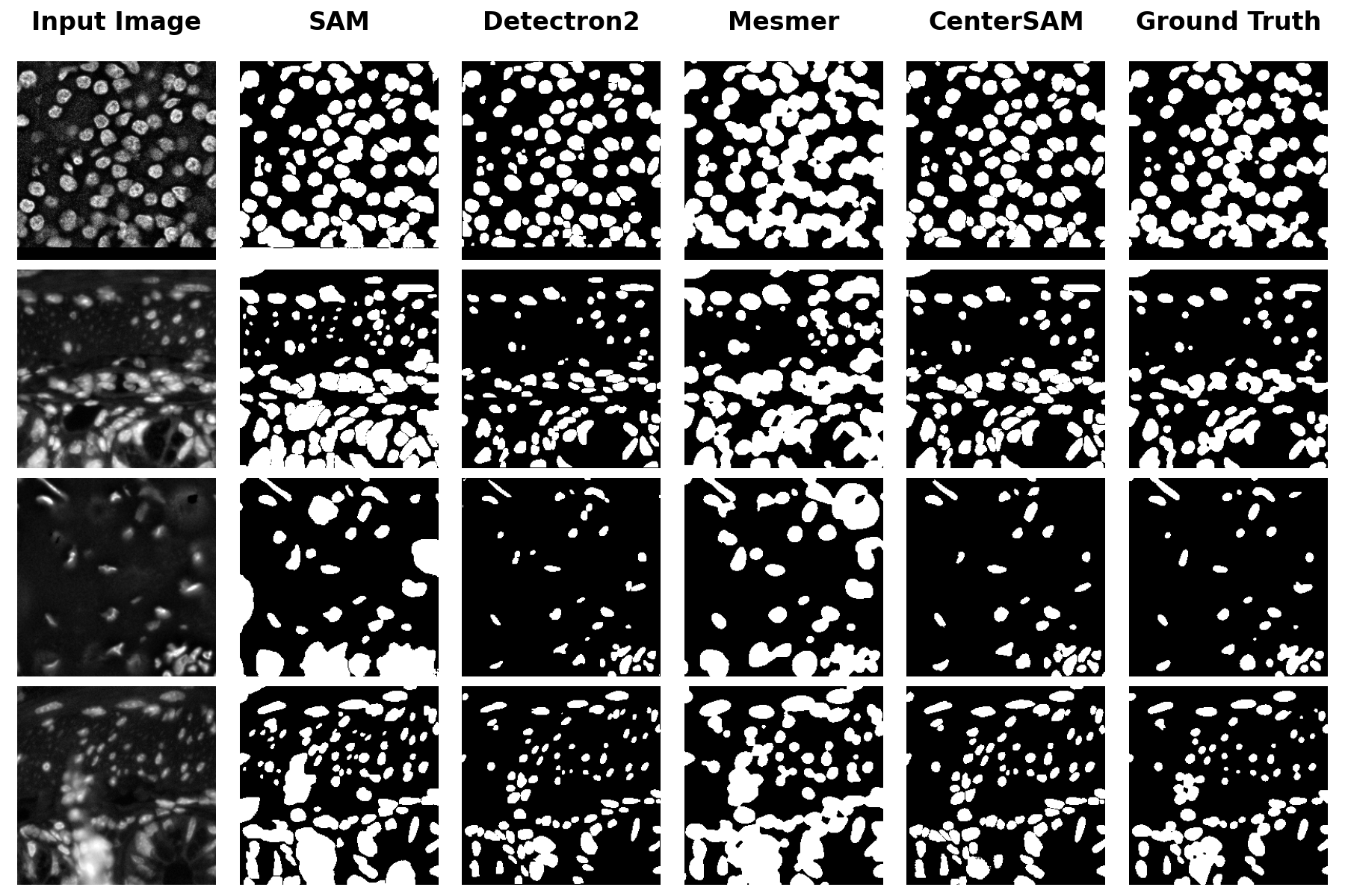 centersam-segmentation-result.png